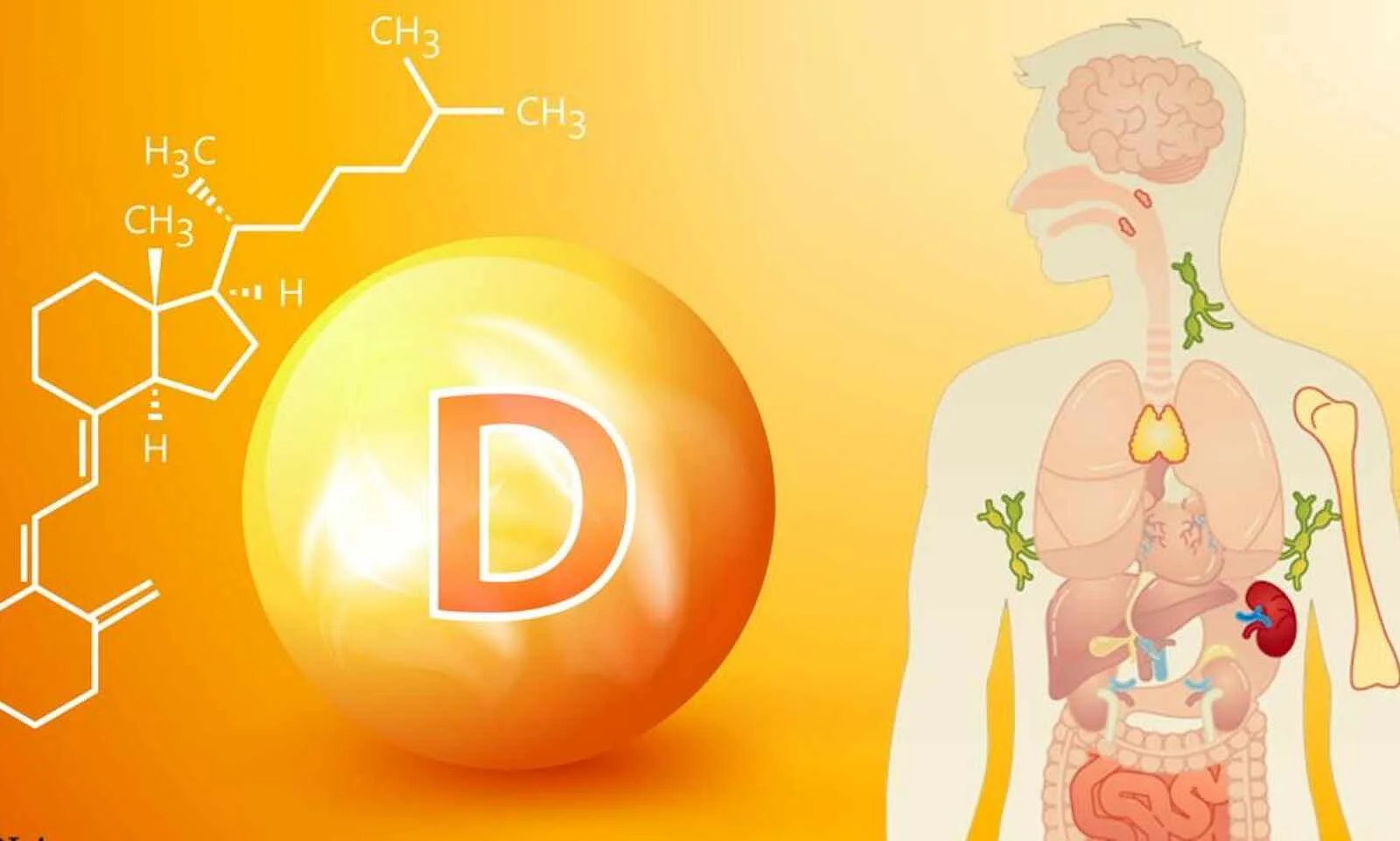 What are the symptoms of Vitamin D deficiency and how to cure it? Blog